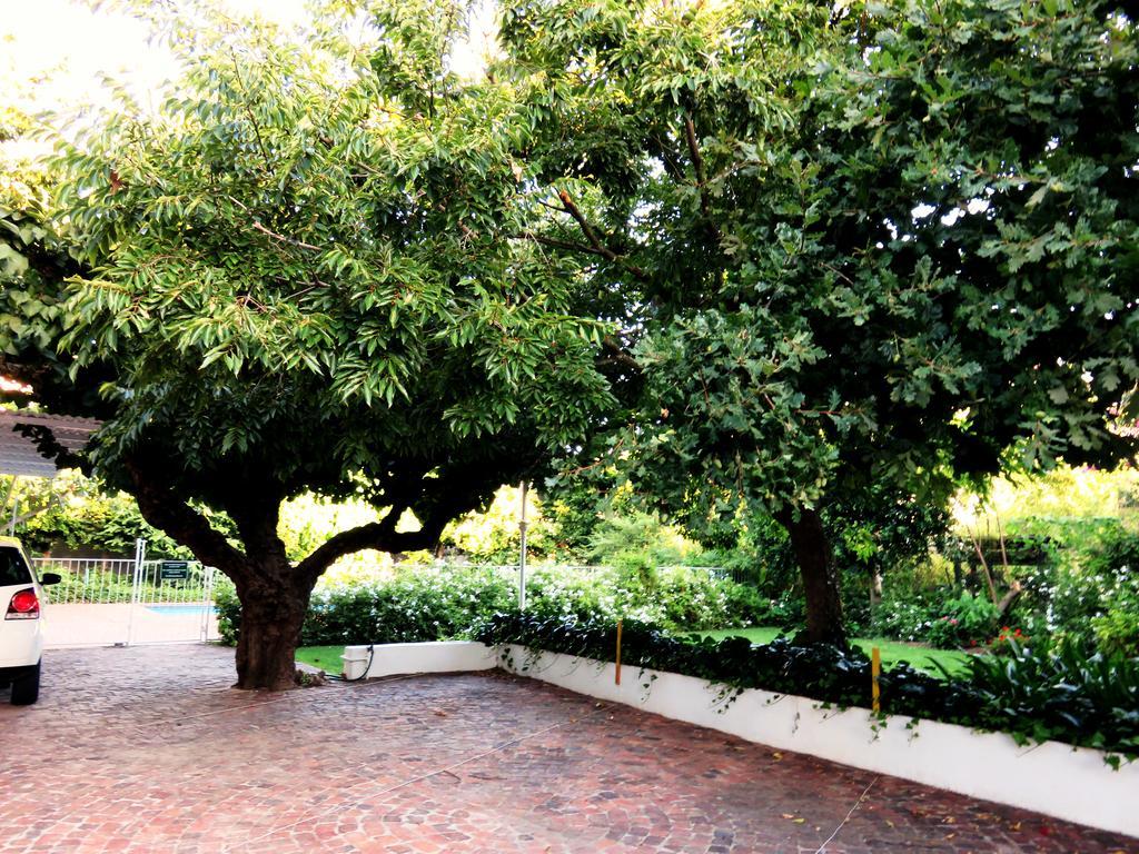 Fynbos Villa Guest House Stellenbosch Eksteriør billede
