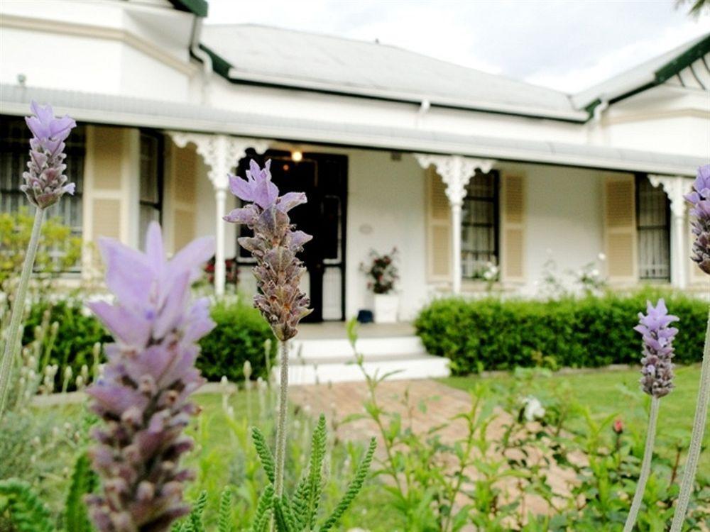 Fynbos Villa Guest House Stellenbosch Eksteriør billede